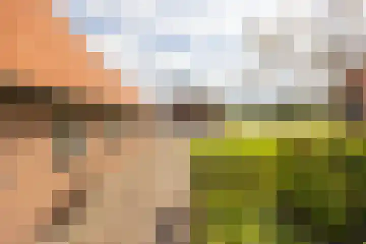 Oelerschoolpad 2 Hengelo thumbnail 100