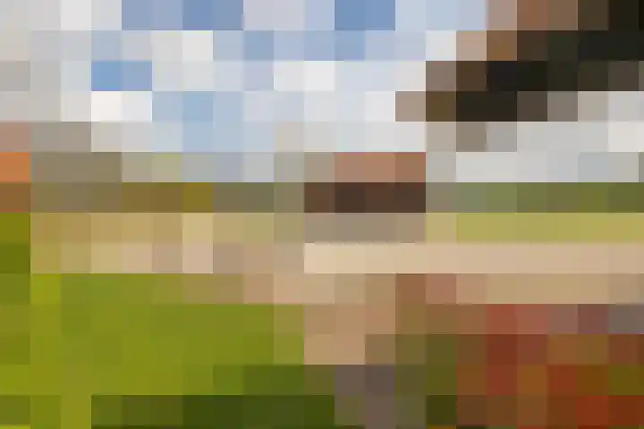 Oelerschoolpad 2 Hengelo thumbnail 101