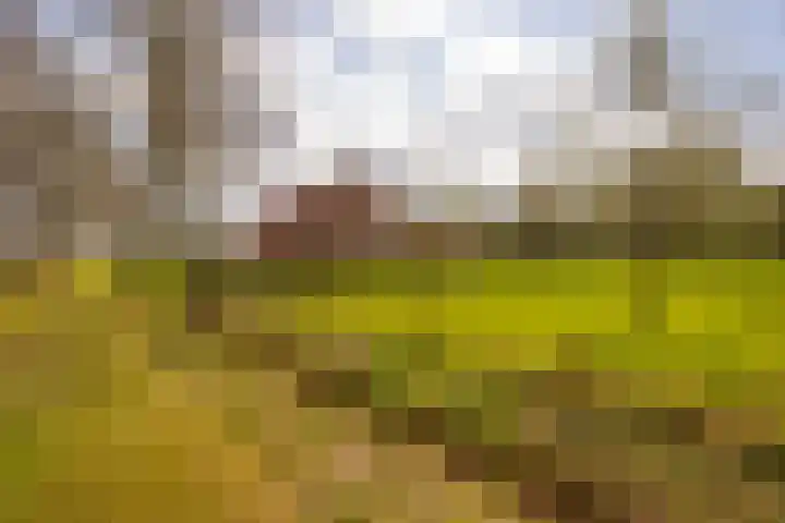 Oelerschoolpad 2 Hengelo thumbnail 102