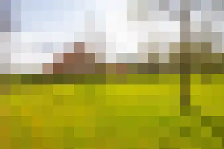Oelerschoolpad 2 Hengelo thumbnail 103
