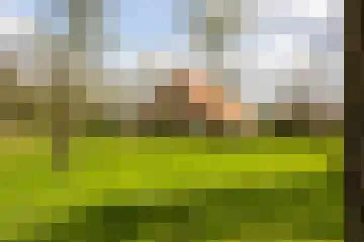 Oelerschoolpad 2 Hengelo thumbnail 104