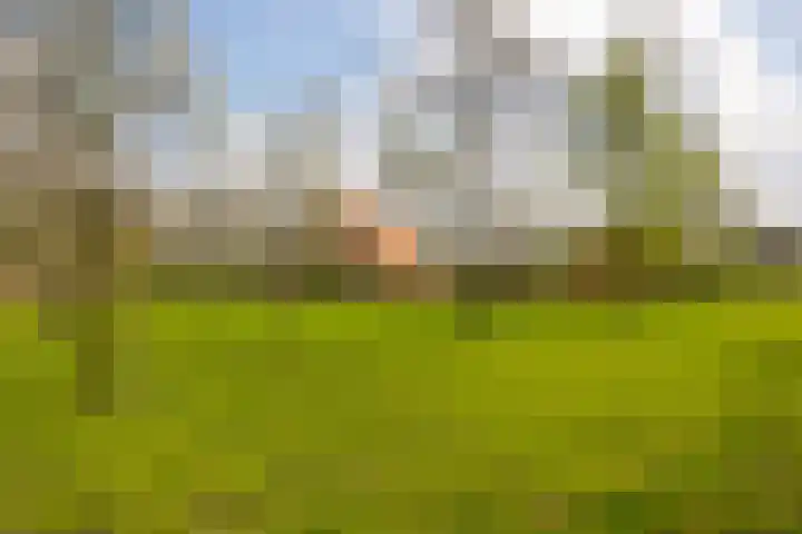 Oelerschoolpad 2 Hengelo thumbnail 105