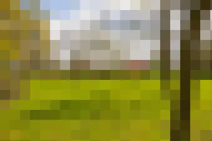 Oelerschoolpad 2 Hengelo thumbnail 106