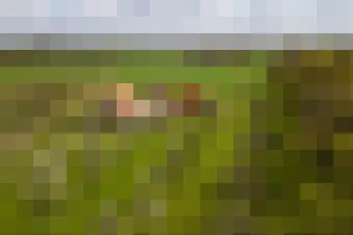 Oelerschoolpad 2 Hengelo thumbnail 107