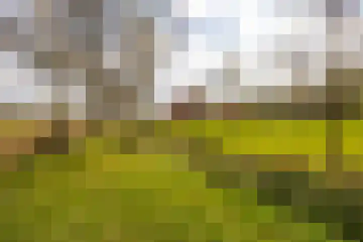 Oelerschoolpad 2 Hengelo thumbnail 108