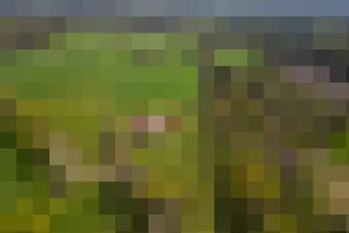 Oelerschoolpad 2 Hengelo thumbnail 110