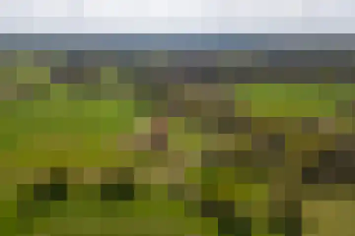 Oelerschoolpad 2 Hengelo thumbnail 112
