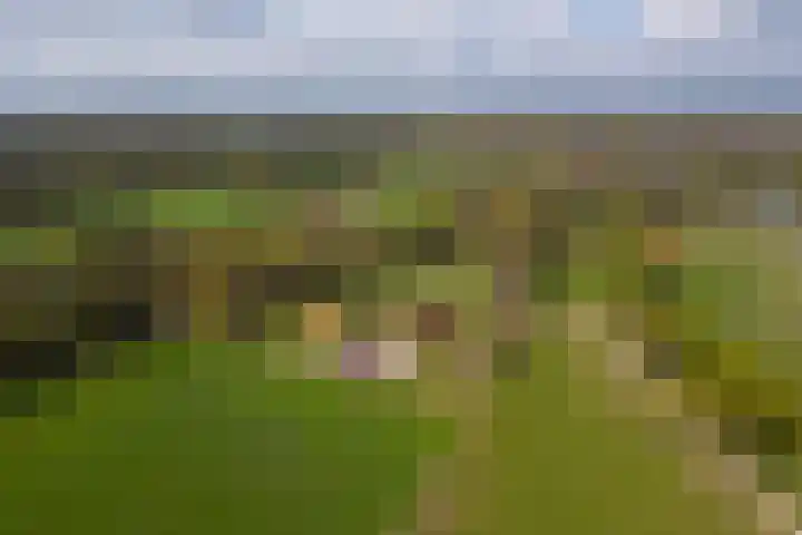 Oelerschoolpad 2 Hengelo thumbnail 113