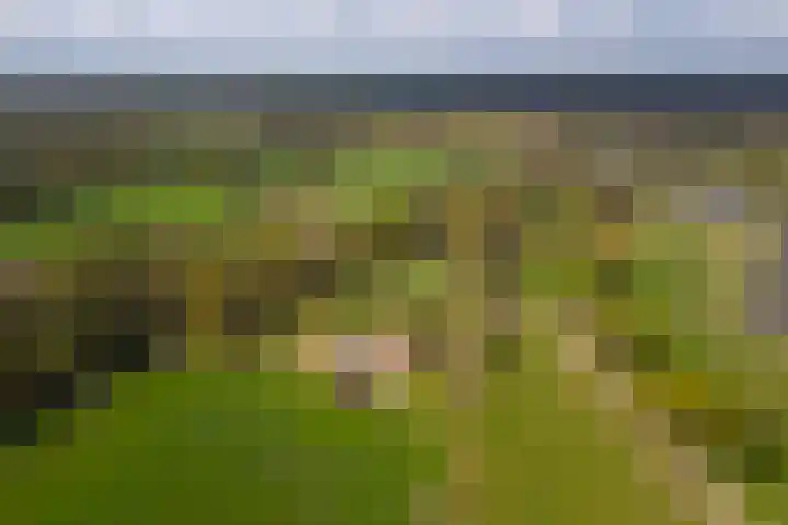 Oelerschoolpad 2 Hengelo thumbnail 114