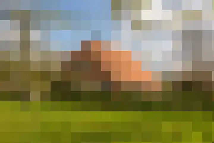 Oelerschoolpad 2 Hengelo thumbnail 122