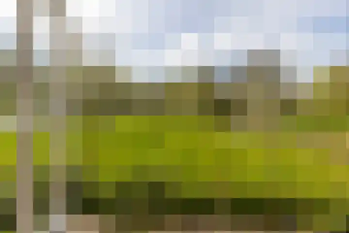 Oelerschoolpad 2 Hengelo thumbnail 48