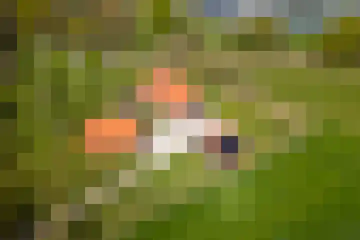 Oelerschoolpad 2 Hengelo thumbnail 49