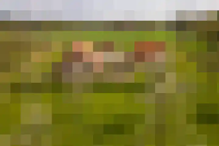 Oelerschoolpad 2 Hengelo thumbnail 50