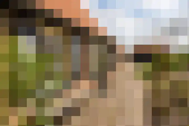 Oelerschoolpad 2 Hengelo thumbnail 51