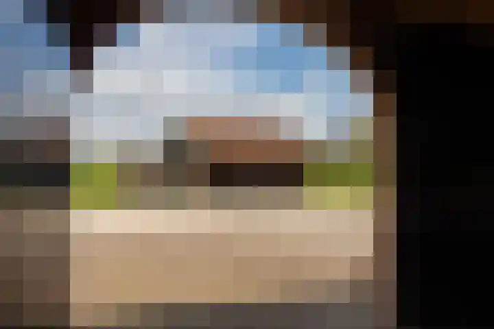 Oelerschoolpad 2 Hengelo thumbnail 59