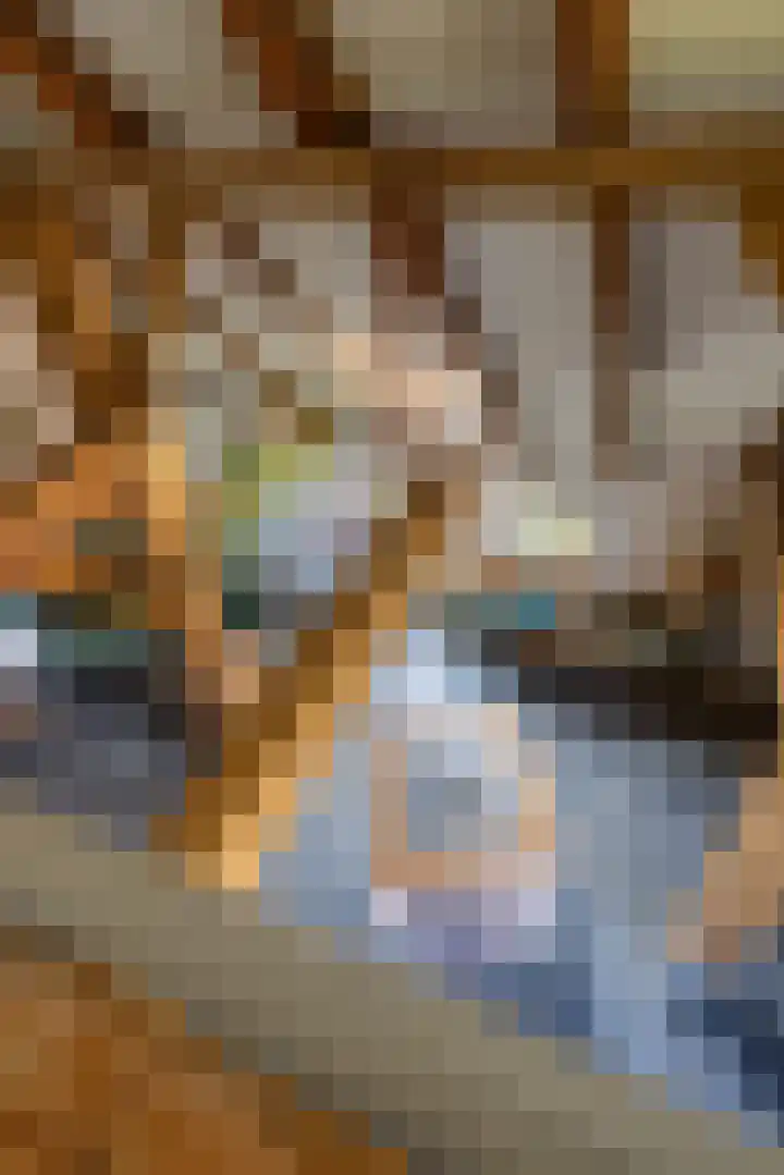 Oelerschoolpad 2 Hengelo thumbnail 78