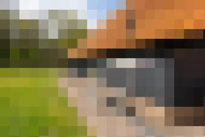 Oelerschoolpad 2 Hengelo thumbnail 82