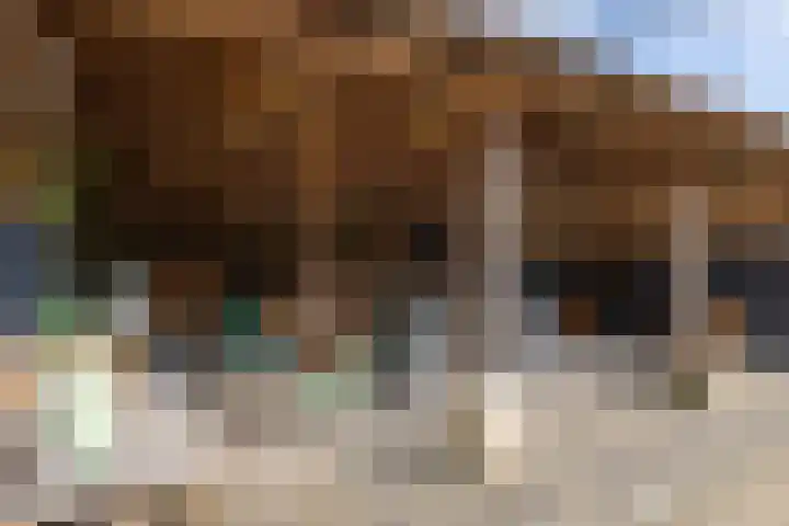 Oelerschoolpad 2 Hengelo thumbnail 84