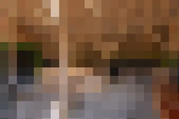 Oelerschoolpad 2 Hengelo thumbnail 86