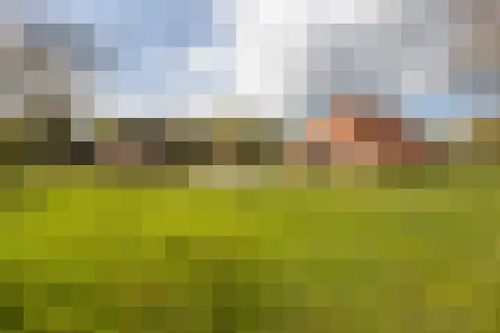 Oelerschoolpad 2 Hengelo thumbnail 89