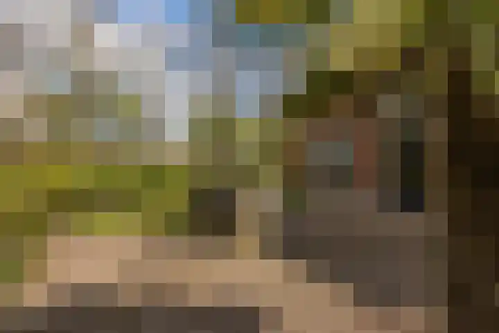 Oelerschoolpad 2 Hengelo thumbnail 92