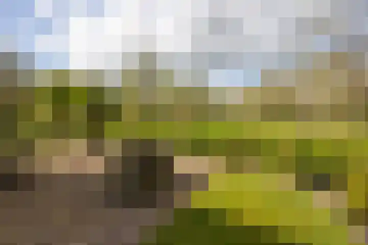 Oelerschoolpad 2 Hengelo thumbnail 93