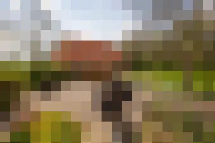 Oelerschoolpad 2 Hengelo thumbnail 95