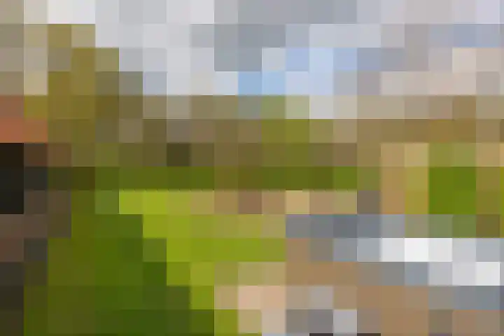 Oelerschoolpad 2 Hengelo thumbnail 97