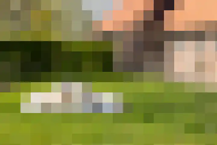 Oelerschoolpad 2 Hengelo thumbnail 99