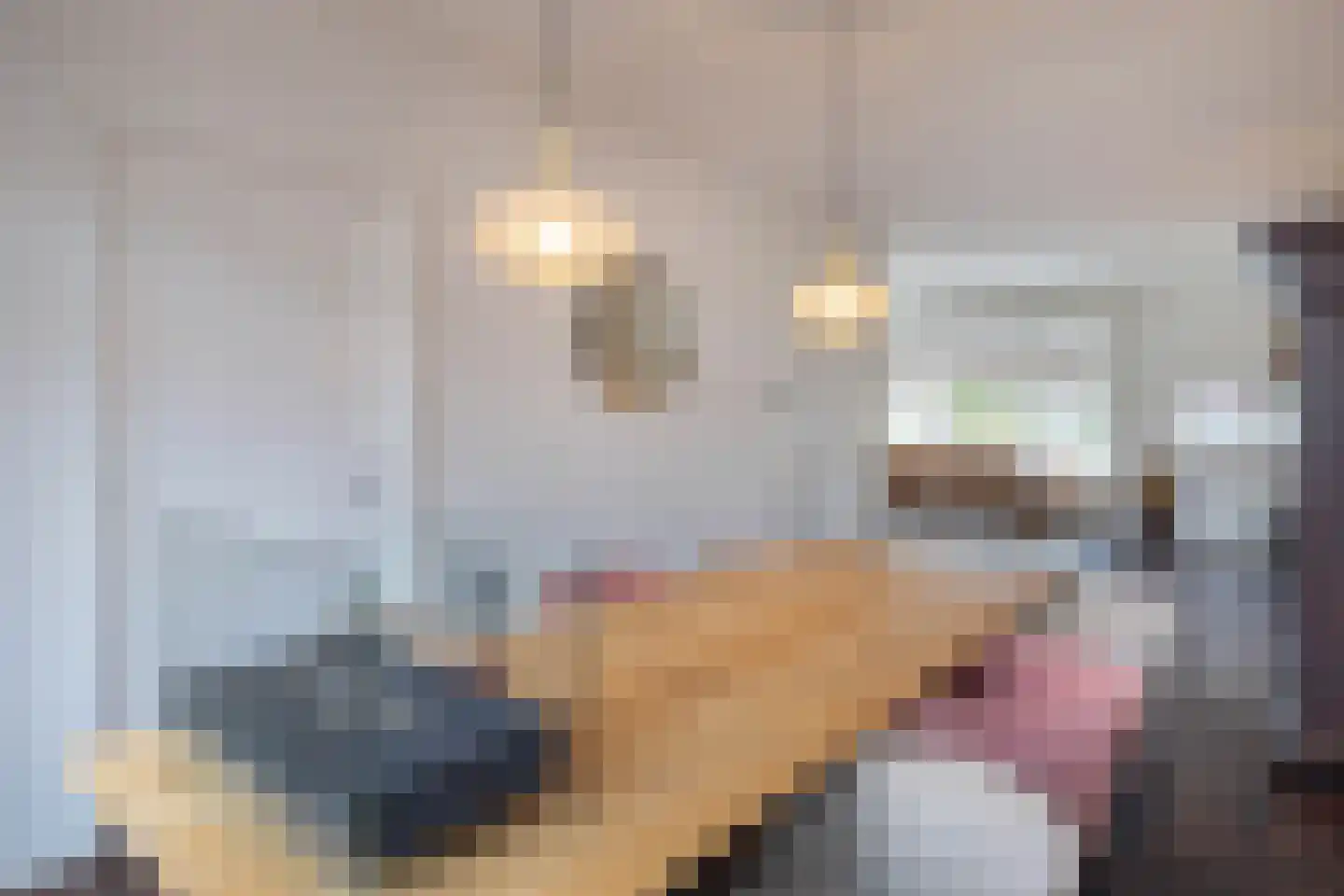 Oelerweg 106 Hengelo thumbnail 13