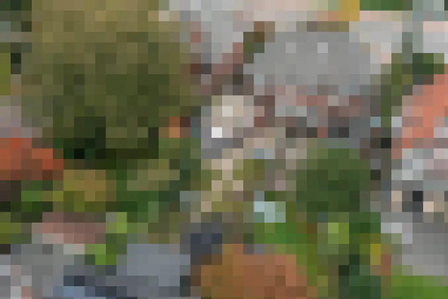 Oelerweg 106 Hengelo thumbnail 54