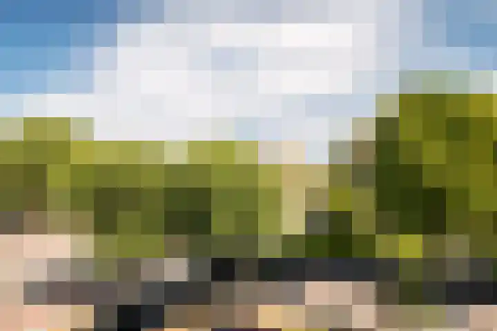 Oelerweg 135 Hengelo thumbnail 4