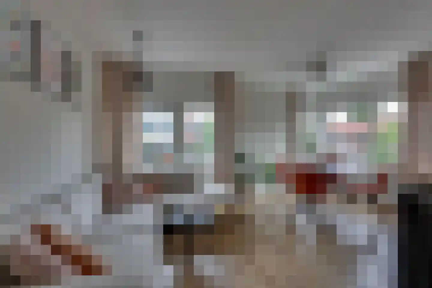 Oelerweg 147 Hengelo thumbnail 8