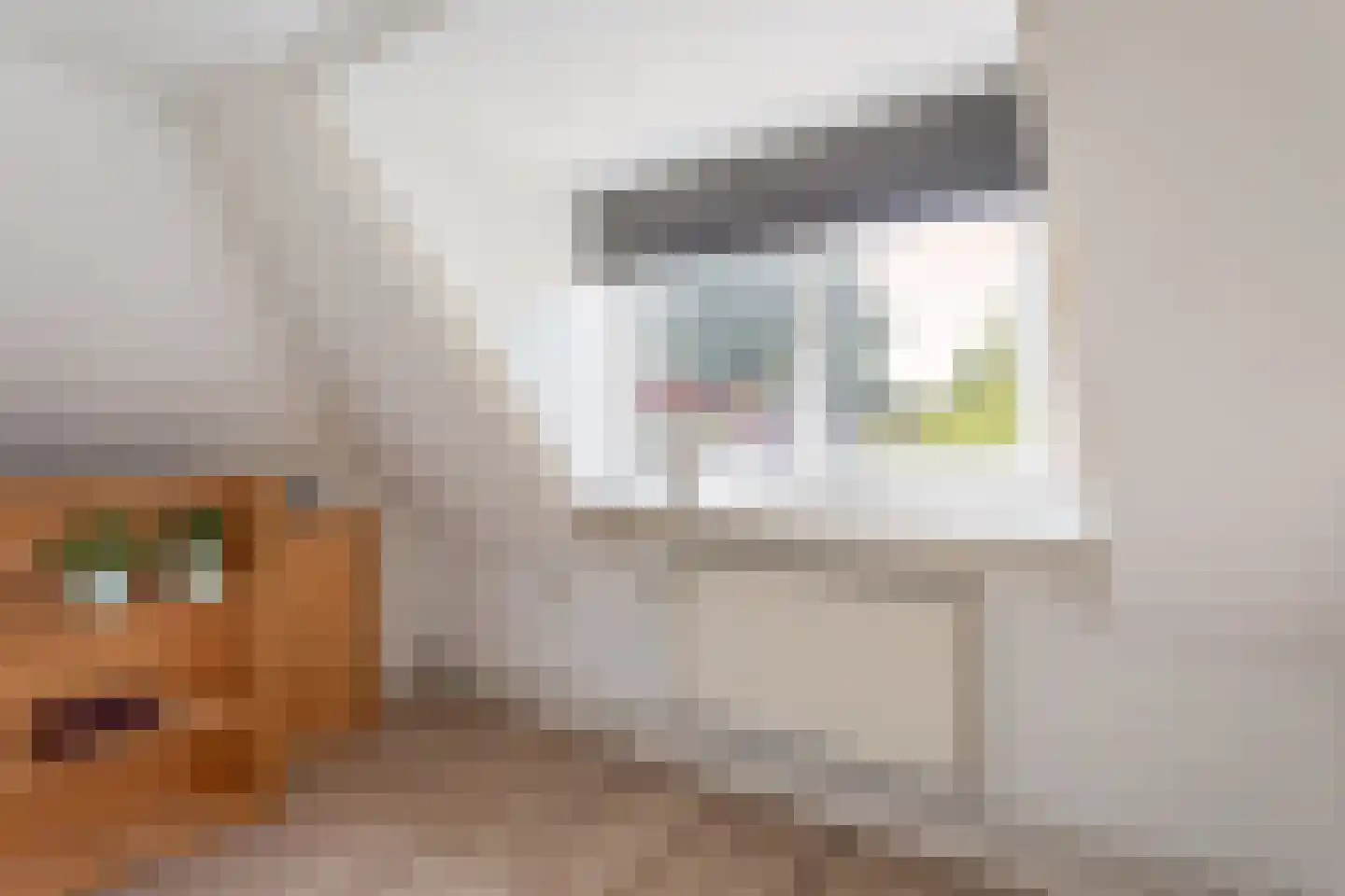 Oelerweg 19 Hengelo thumbnail 15