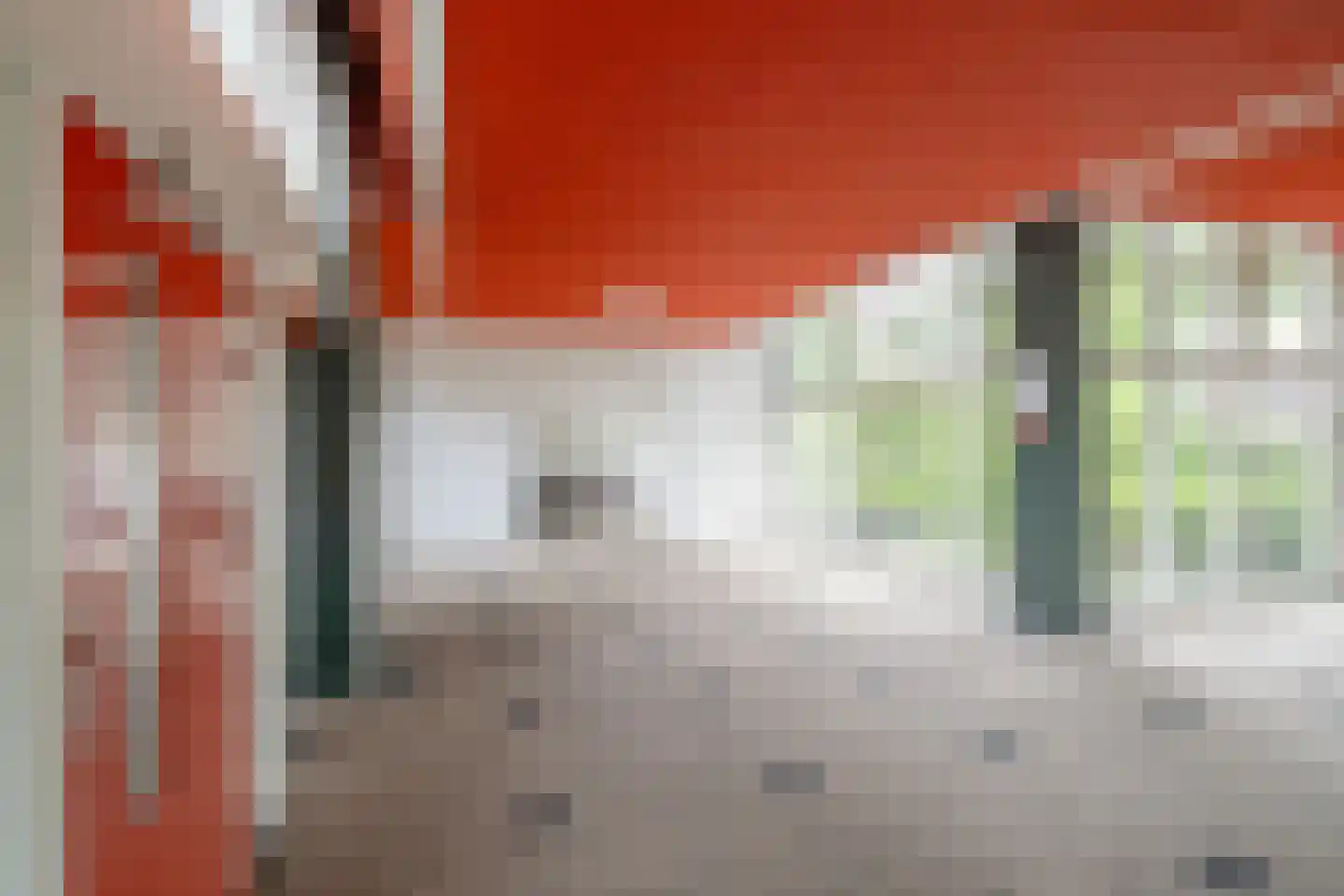 Oelerweg 217 Hengelo thumbnail 23