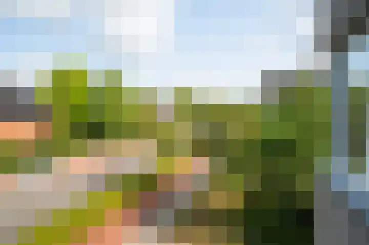 Oelerweg 225 Hengelo thumbnail 5