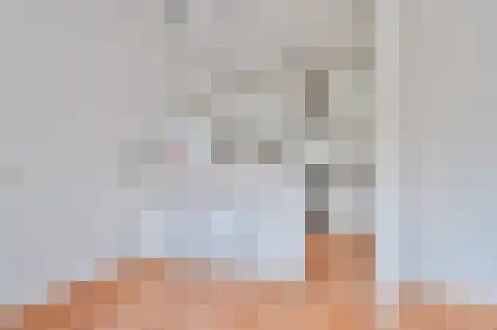 Oelerweg 225 Hengelo thumbnail 7