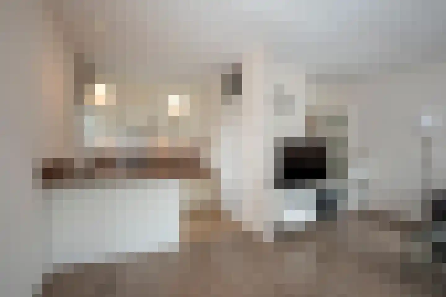 Oelerweg 319 Hengelo thumbnail 16