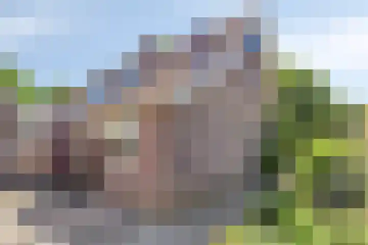 Oelerweg 51 Hengelo thumbnail 32
