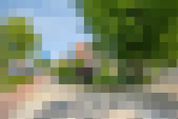 Oelerweg 51 Hengelo thumbnail 4