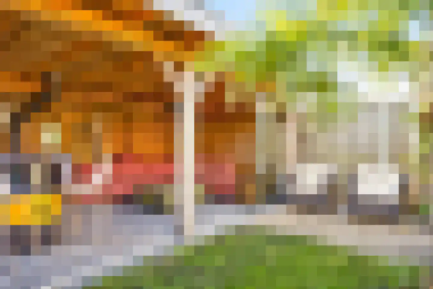 Oelerweg 73 Hengelo thumbnail 31