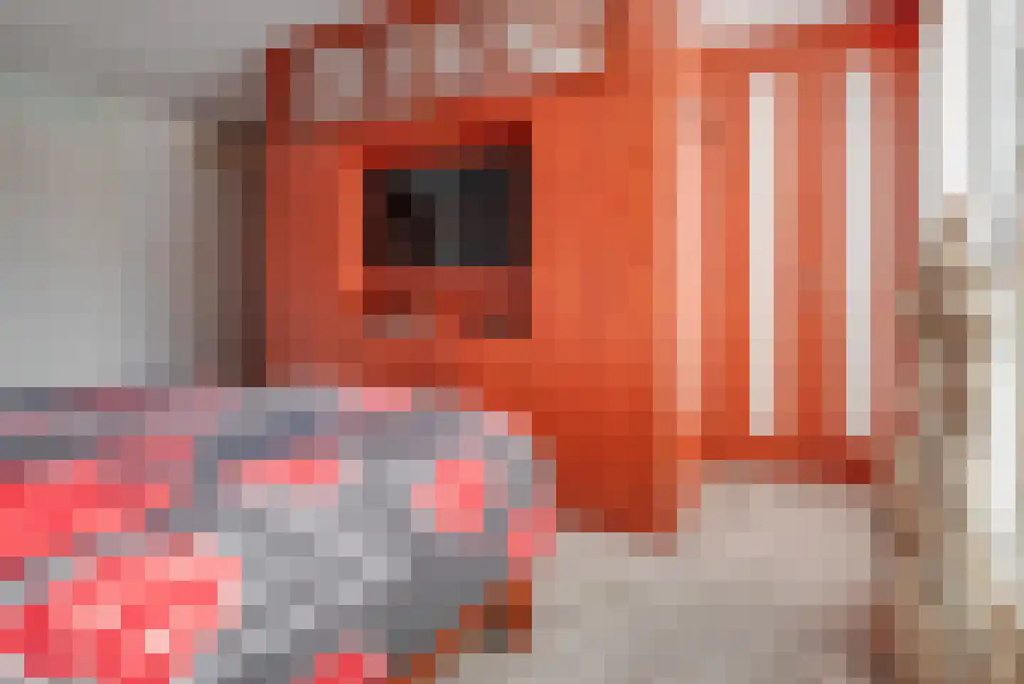 Oelofsdreef 4 Bergschenhoek thumbnail 32