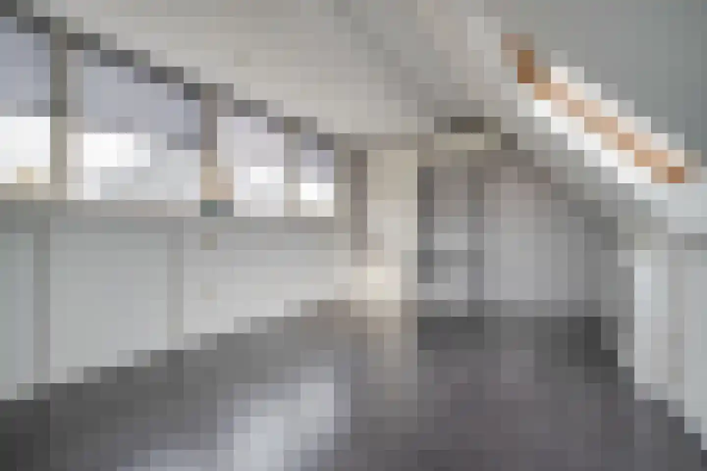 Oelofsdreef 4 Bergschenhoek thumbnail 36