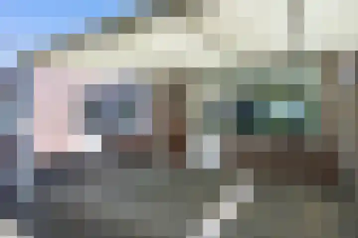 Oelovenstraat 12 Brunssum thumbnail 8