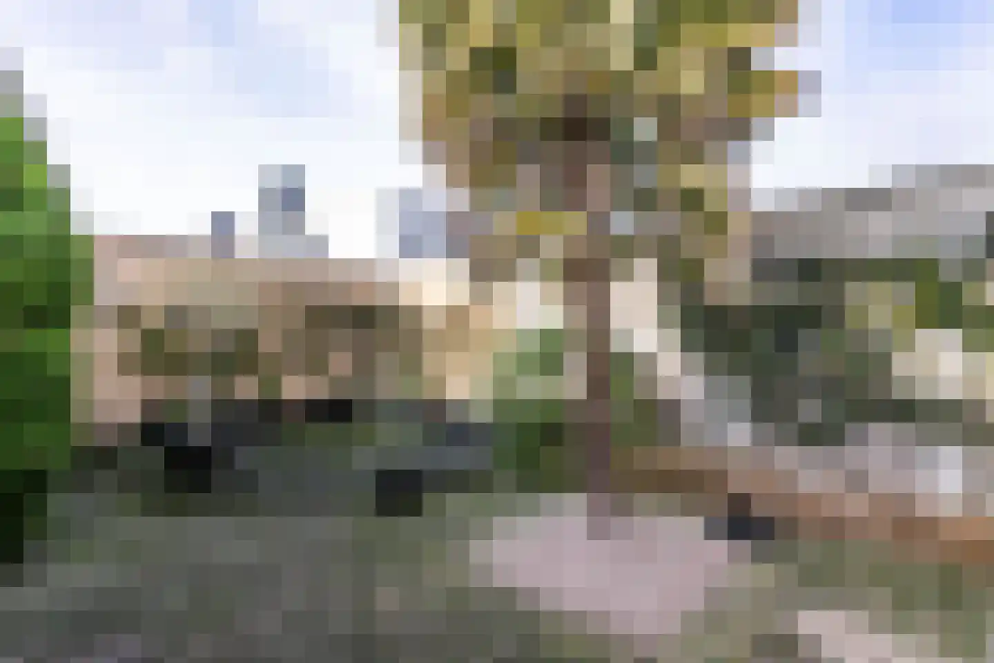 Oelovenstraat 4 Brunssum thumbnail 25