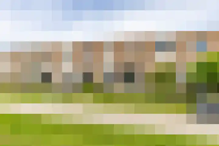 Oenemastate 16 Leeuwarden thumbnail 11