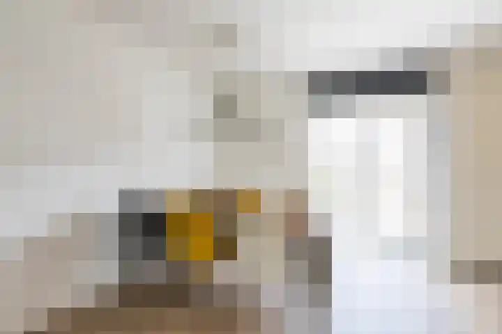 Oenemastate 16 Leeuwarden thumbnail 22