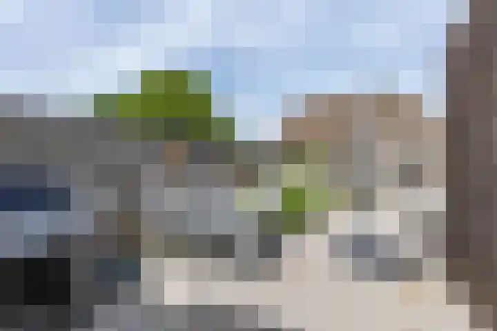 Oenemastate 16 Leeuwarden thumbnail 29