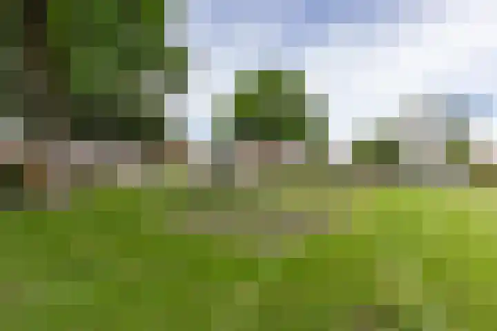Oenemastate 16 Leeuwarden thumbnail 51