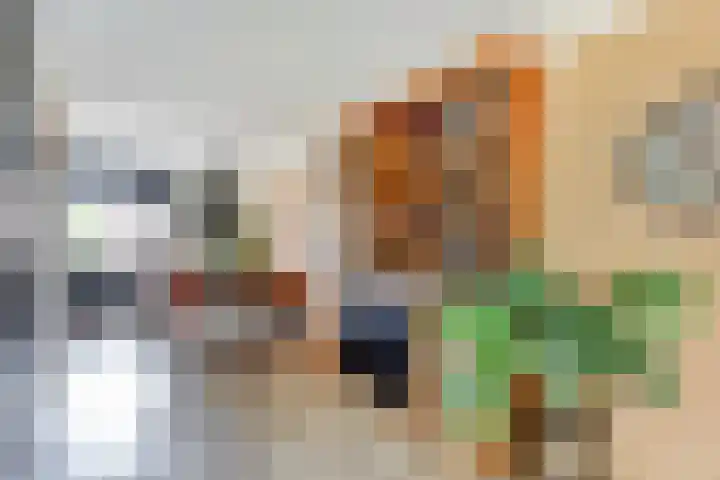 Oenemastate 18 Leeuwarden thumbnail 9